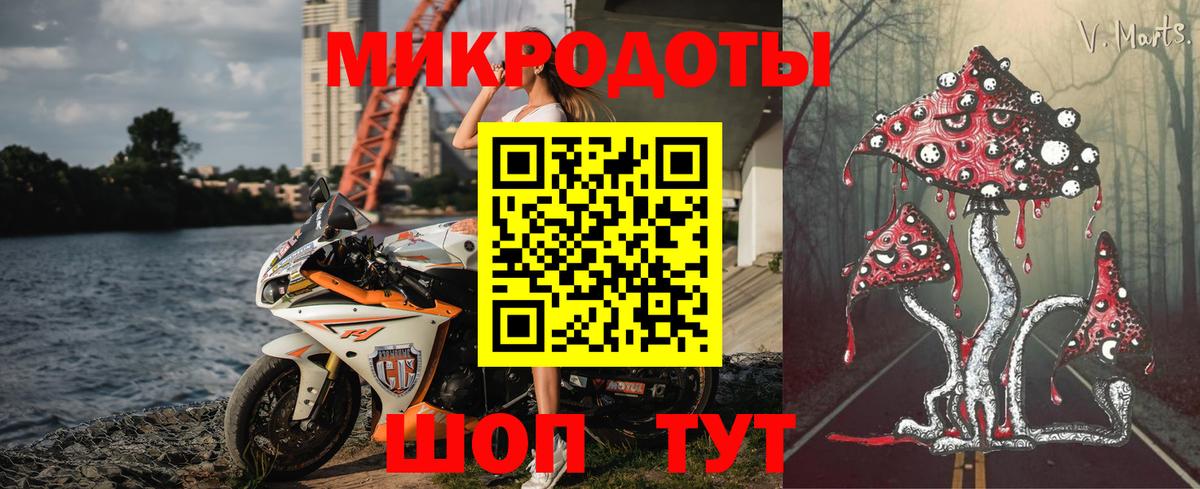 наркота  Псилоцибиновые грибы MAGIC MUSHROOMS  Вход с VPN  Кингисепп 