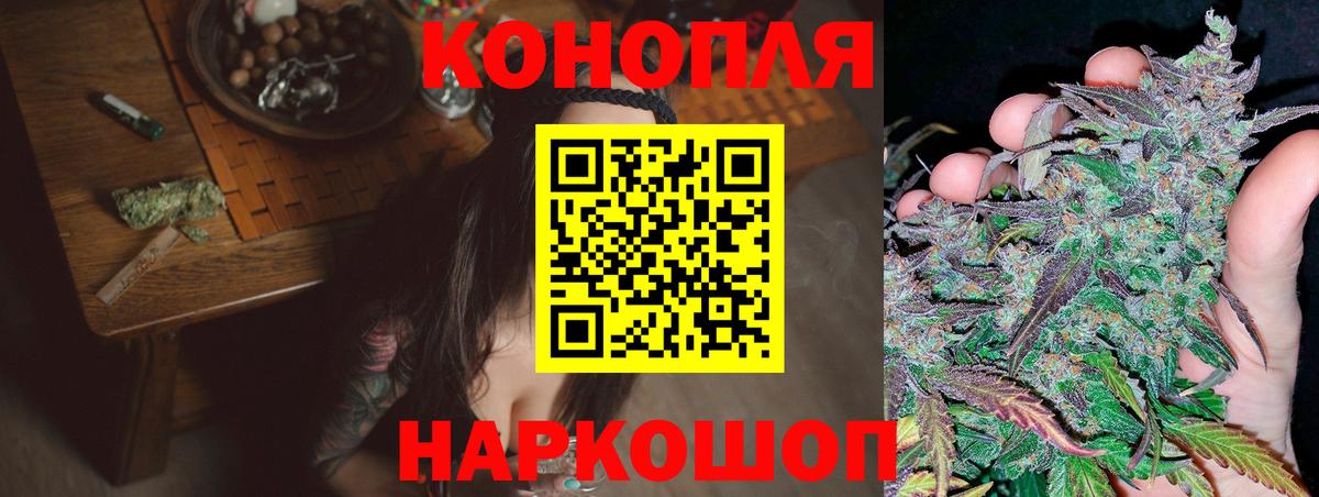 Канабис OG Kush Кингисепп