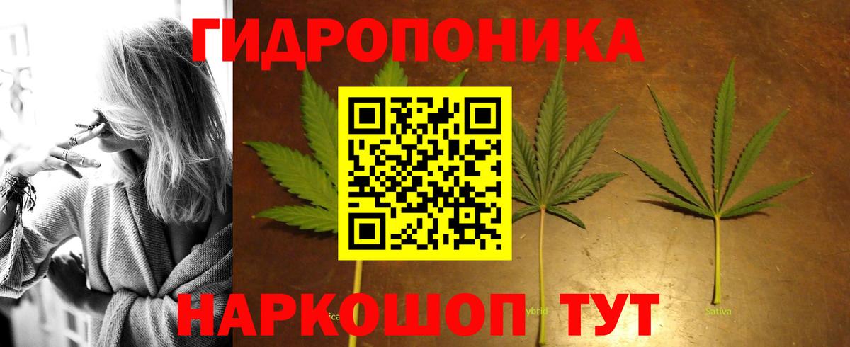Канабис семена  Вход с VPN  МАРИХУАНА сатива  Кингисепп  Конопля OG Kush 